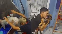 Captan a estilista de perros bailando con ellos mientras trabaja: VIDEO