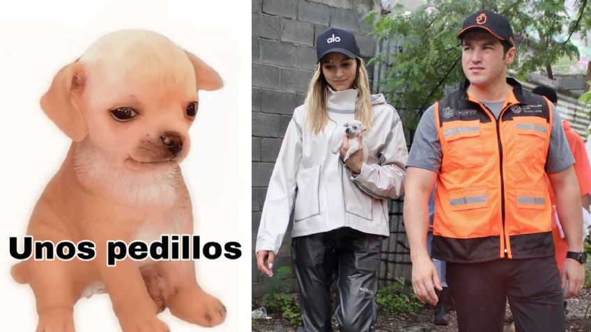 Él es “Alberto”, el perrito que Mariana Rodríguez y Samuel García adoptaron y es idéntico al del meme “Unos pedillos”