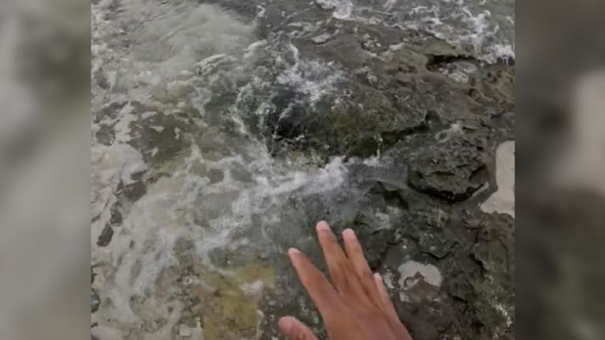 Ojos de agua que surgieron en Cozumel y Playa del Carmen, un bello recurso natural que combate el cambio climático