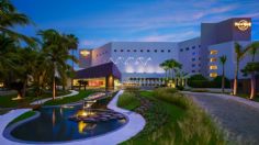 Hard Rock Hotels: un destino para toda la familia