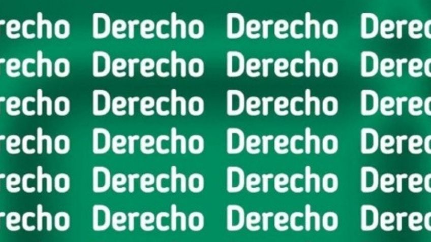 Sólo una mente de un genio puede encontrar la palabra ‘Desecho’ en menos de 5 segundos