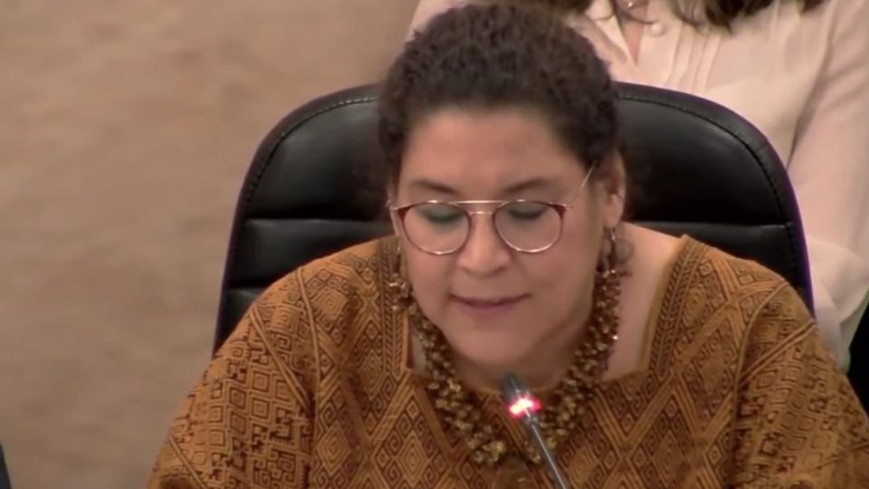 La ministra propuso limitar a los órganos del Poder Judicial.