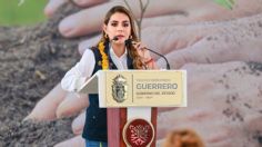 "En Guerrero se impulsan acciones para revertir el cambio climático y concientizar en el cuidado del medio ambiente": Evelyn Salgado