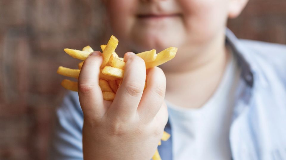 No se trata de prohibir comida, pero sí enseñarles a comer con moderación.