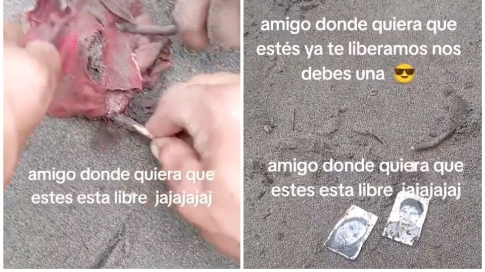 ¿Qué hubieras hecho?