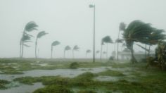 Temporada de huracanes: ¿Cómo proteger los vidrios de las ventanas para evitar que se quiebren?