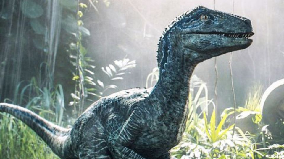 Conoce el descubrimiento sobre los dinosaurios que paraliza al mundo. Fuente: Pinterest