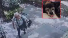 EXHIBEN VIDEO: así se robó a la perrita de sus vecinos, la mató y la enterró en su jardín