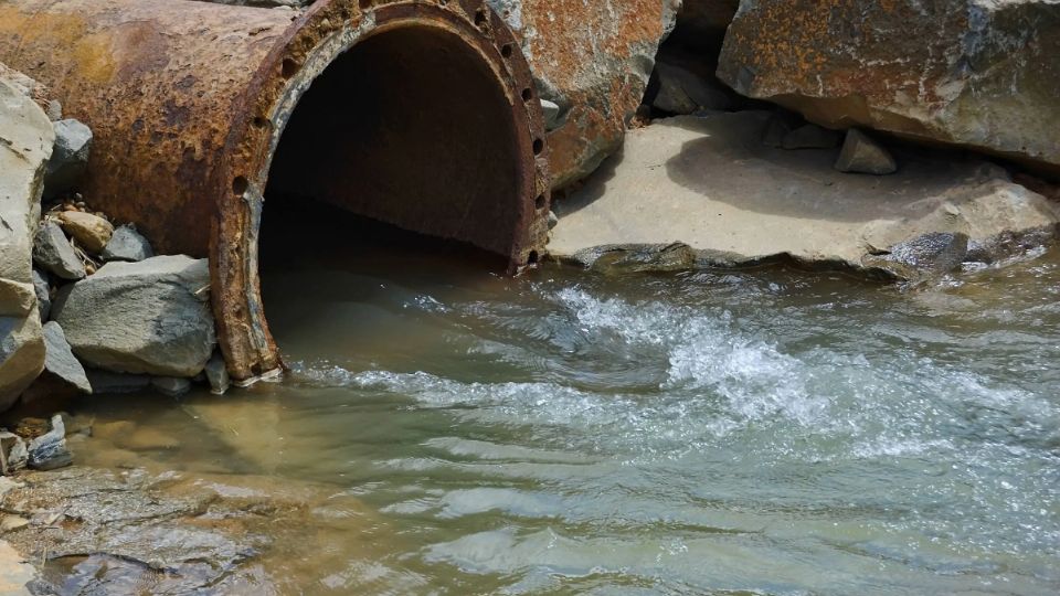 El contacto con agua contaminada es la principal forma de contagio de esta enfermedad.