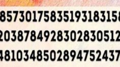 Sólo personas con un alto nivel de inteligencia pueden encontrar el número 125 en menos de 5 segundos