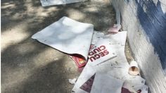 Alertan sobre impacto ecológico de “basura electoral” en la CDMX