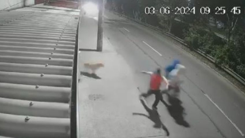 "Le debo mi vida": un perro salvó a una familia de un asalto, hizo correr a tres delincuentes | VIDEO