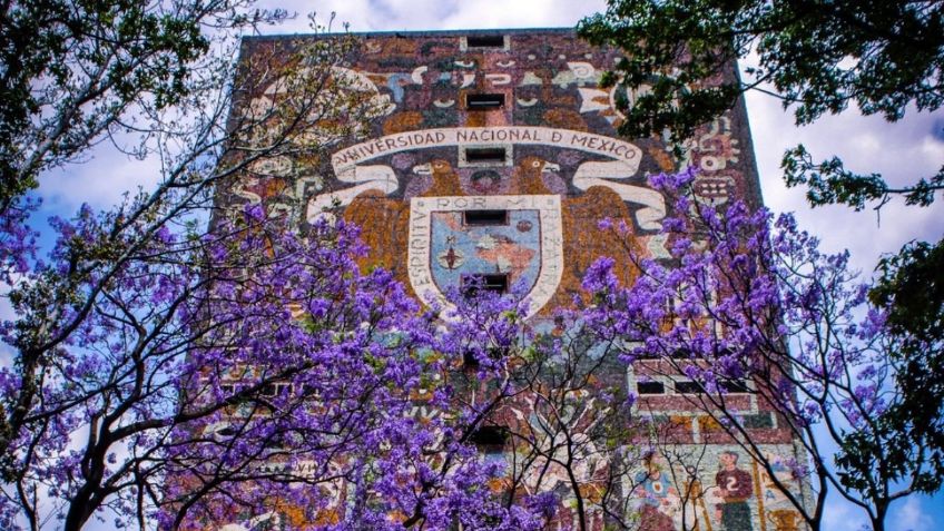 ¿Cuándo salen los resultados del examen de la UNAM al nivel licenciatura?