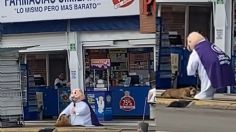 VIDEO: botarga del Dr. Simi se hace viral por interrumpir su baile para acariciar un perrito de la calle