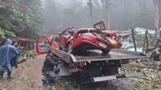 Caída de árbol por lluvias cobra la vida de una persona y lesiona a otras seis en Tenancingo