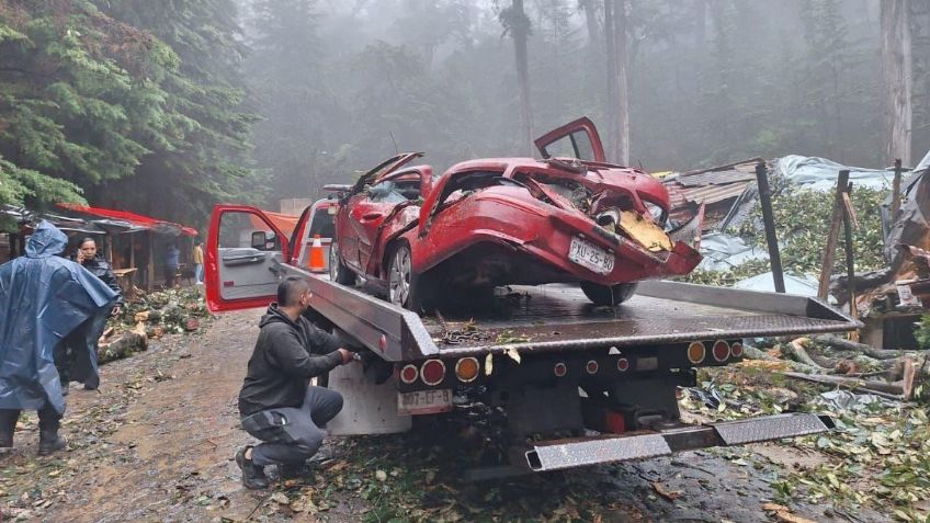 Caída de árbol por lluvias cobra la vida de una persona y lesiona a otras seis en Tenancingo