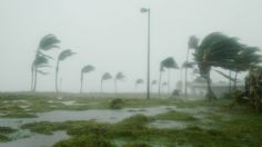 Dos ondas tropicales en México: ¿Qué estados serán afectados este jueves 11 de julio? | MAPA