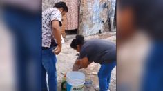 Denuncian a estética canina por bañar a perros con jabón de trastes y maltratos en Puebla