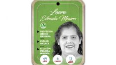 ¿Quién es Laura Estrada Mauro? Senadora por primera minoría del PVEM