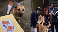 Flavio, el perrito que se hizo viral en TikTok por "graduarse" de la primaria", así le dieron su reconocimiento | VIDEO