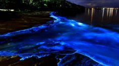 La laguna con bioluminiscencia más cercana a la CDMX que debes visitar estas vacaciones