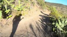 Escuchan escalofriantes ruidos en la búsqueda del joven víctima de un cactus