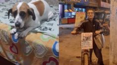 Adulto mayor perdió a su perrita Nana hace un año y la busca todos los días en su bicicleta