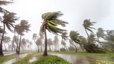 Onda tropical 9 dejará fuertes lluvias en estos estados este viernes 12 de julio | MAPA