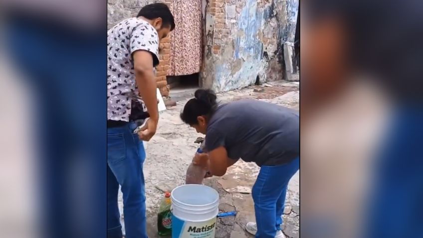 Denuncian a estética canina por bañar a perros con jabón de trastes y maltratos en Puebla