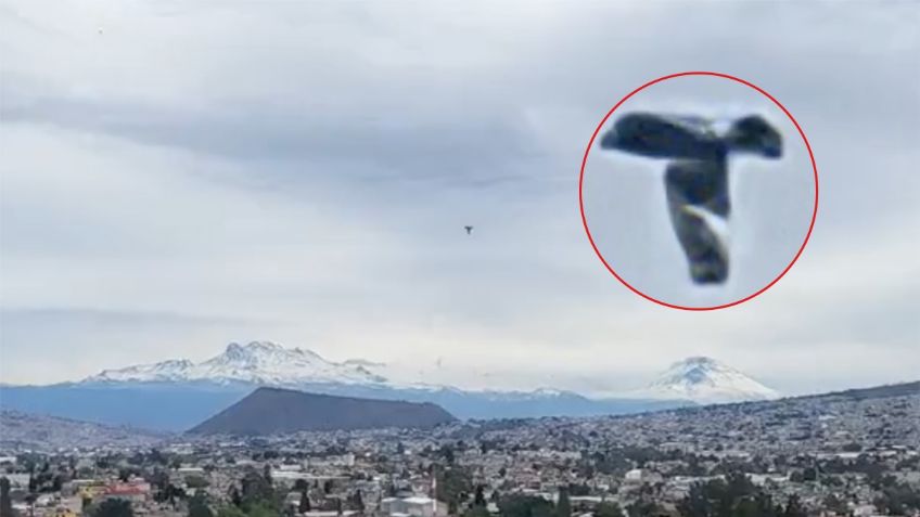 FOTO: ¿extraterrestres?, captan una extraña figura en el cielo desde la CDMX