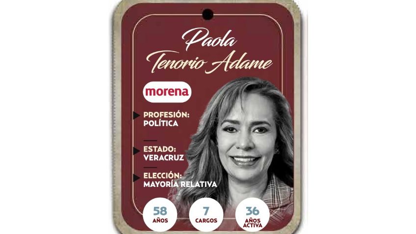 ¿Quién es Paola Tenorio Adame? Diputada por Mayoría Relativa de Morena