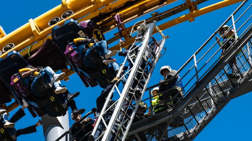 Six Flags ofrece reforestar Bosque de Tlalpan a cambio de talar 171 árboles