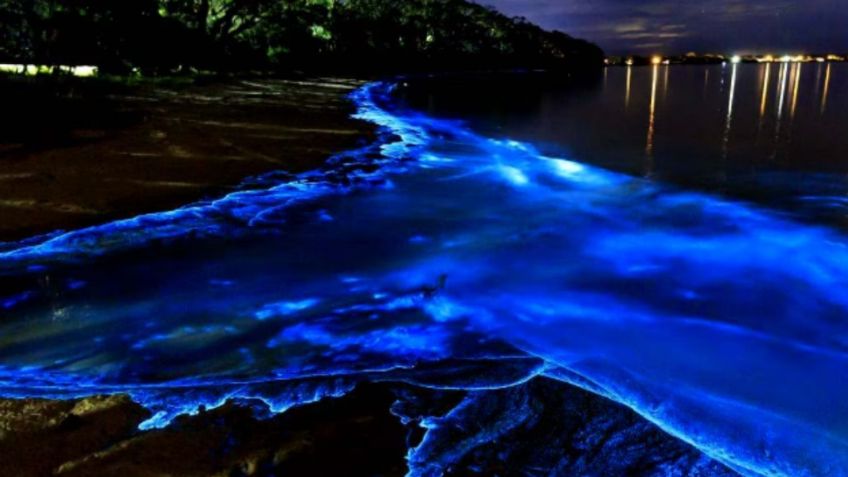 La laguna con bioluminiscencia más cercana a la CDMX que debes visitar estas vacaciones