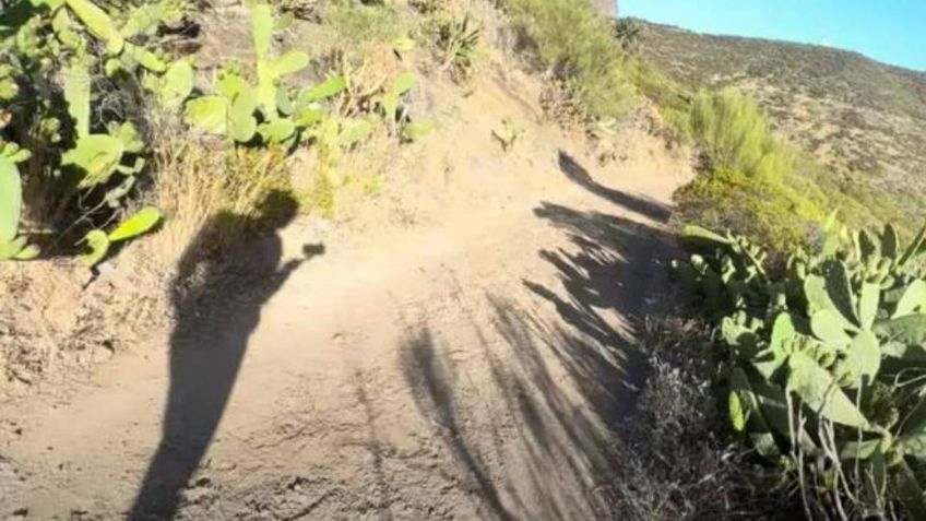 Escuchan escalofriantes ruidos en la búsqueda del joven víctima de un cactus