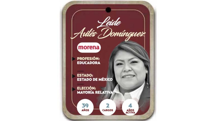 ¿Quién es Leide Avilés Domínguez? Diputada por mayoría relativa de Morena