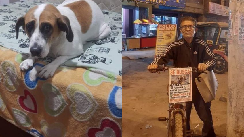 Adulto mayor perdió a su perrita Nana hace un año y la busca todos los días en su bicicleta