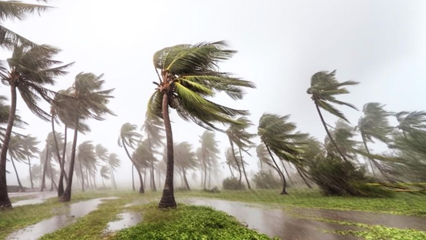 Onda tropical 9 dejará fuertes lluvias en estos estados este viernes 12 de julio | MAPA