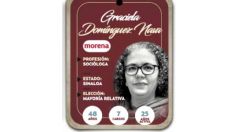 ¿Quién es Graciela Domínguez Nava, conoce a la próxima diputada?