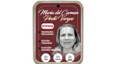 ¿Quién es María del Carmen Pinete Vargas? Diputada por mayoría relativa de Morena