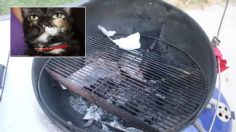 Madre intenta cocinar al gato de su hija en una parrillada