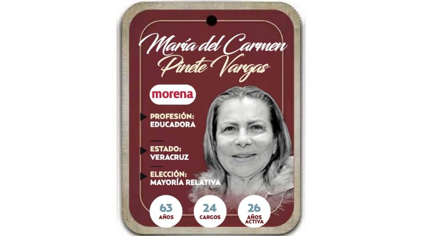 ¿Quién es María del Carmen Pinete Vargas? Diputada por mayoría relativa de Morena