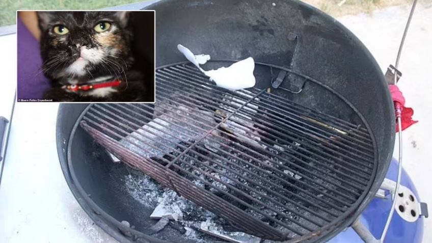 Madre intenta cocinar al gato de su hija en una parrillada