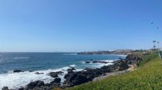 Rosarito… en seis horas