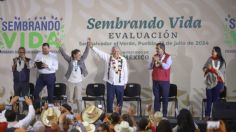 El campo es parte de la transformación; 442 mil personas reciben Sembrando Vida