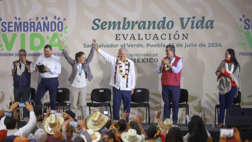 El campo es parte de la transformación; 442 mil personas reciben Sembrando Vida