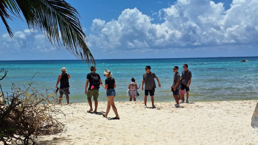 Verano sin sargazo,  en Quintana Roo, en esta fecha se limpiarán las playas