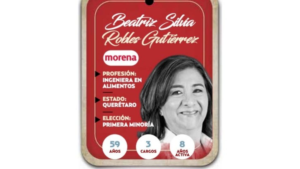 Beatriz Silvia Robles Gutiérrez será senadora por el Partido Morena en la LXVI Legislatura.