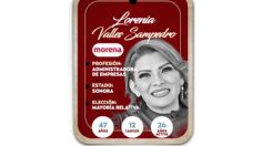 ¿Quién es Lorenia Valles Sampedro, conoce a la próxima senadora?