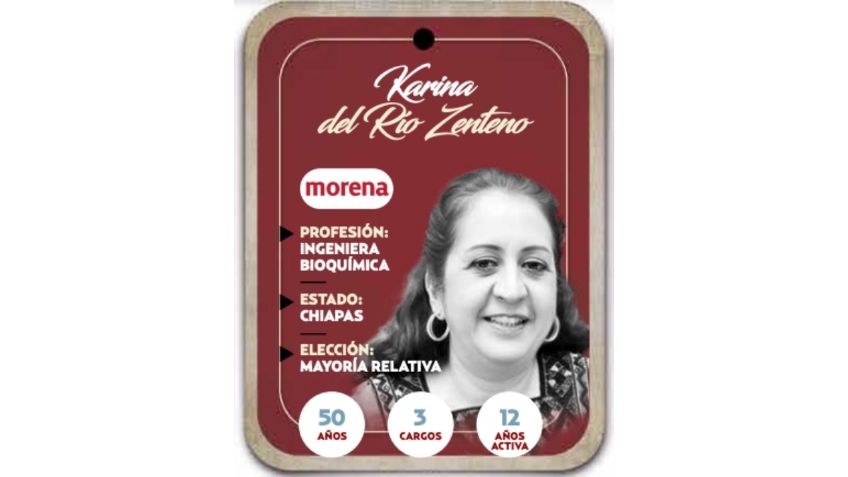 ¿Quién es Karina del Río Zenteno? Diputada por mayoría relativa de Morena