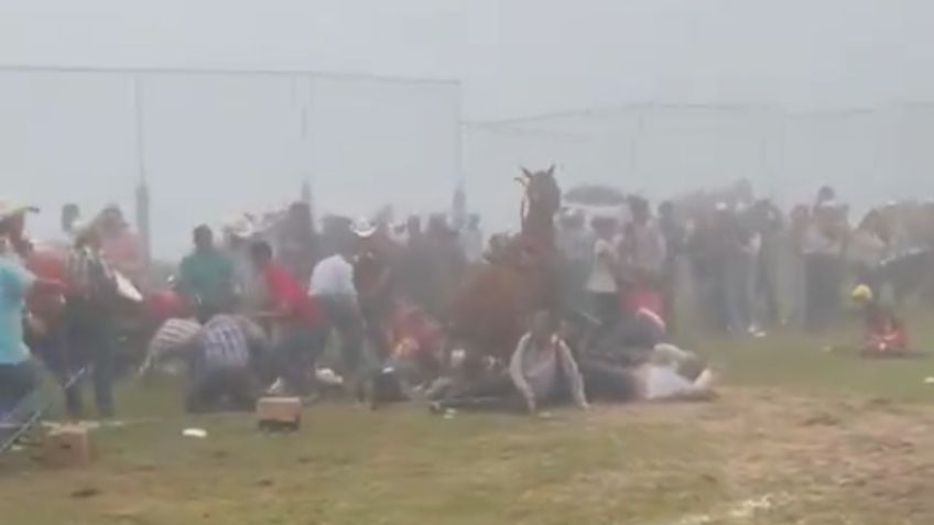 Carrera de caballos deja tres lesionados en Veracruz, el jinete salió proyectado: VIDEO